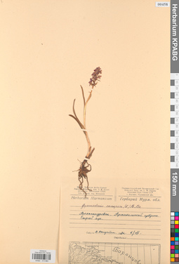 KPABG013865