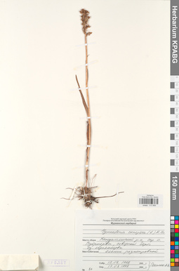 KPABG013869