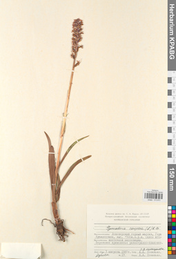 KPABG013873