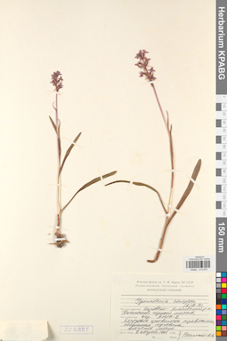KPABG013874