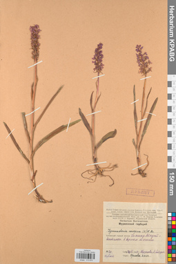 KPABG013879