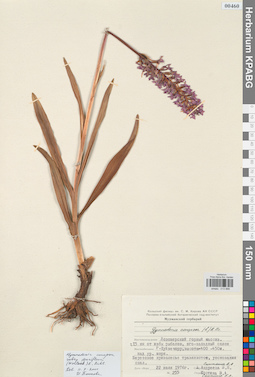 KPABG013886