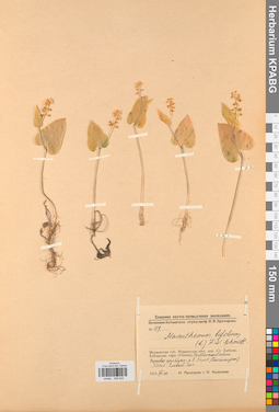 KPABG046622