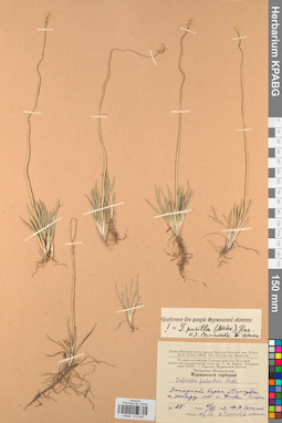 KPABG012939