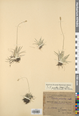 KPABG012943