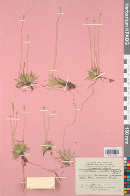 KPABG012948