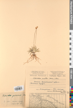 KPABG012949