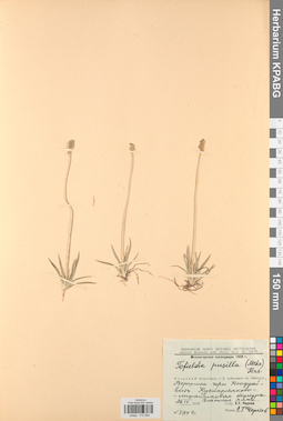 KPABG012964
