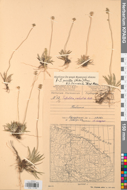 KPABG012989