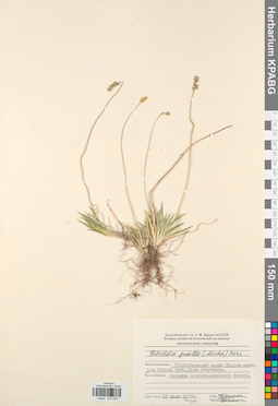 KPABG013030