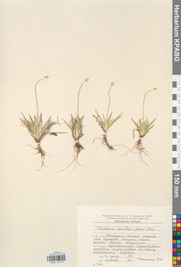 KPABG013032