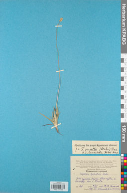 KPABG013036