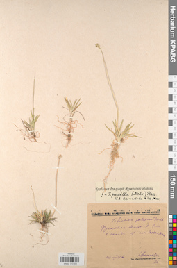 KPABG013039