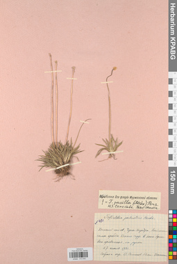 KPABG013042