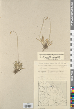KPABG013044