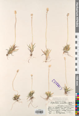 KPABG013057