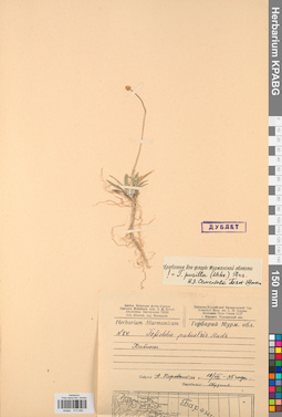 KPABG013062