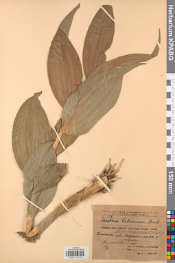 KPABG013068