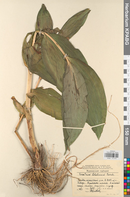 KPABG013072