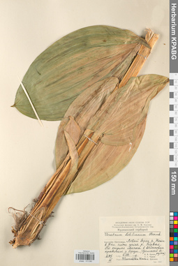 KPABG013080