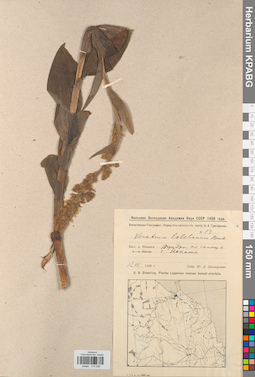 KPABG013095