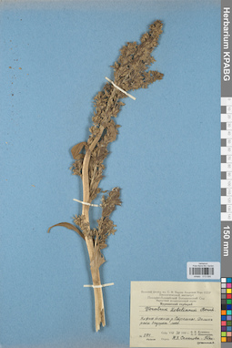 KPABG013099