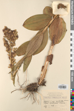 KPABG013120