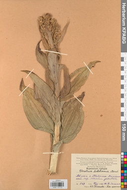 KPABG013123