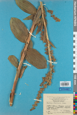 KPABG013127