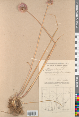KPABG013170