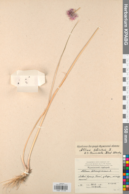 KPABG013238