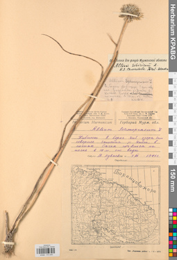 KPABG013240