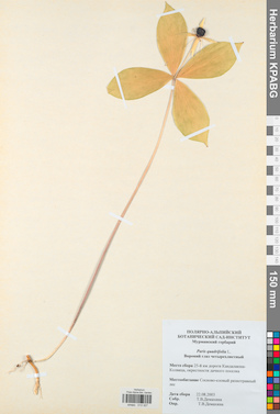 KPABG013327