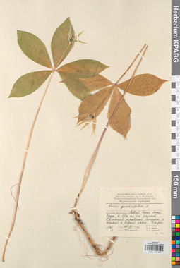 KPABG013346
