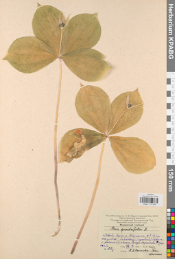 KPABG013358