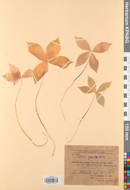 KPABG013373
