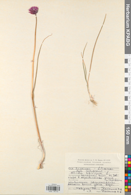 KPABG046752