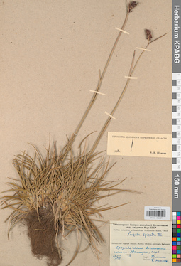 KPABG012674