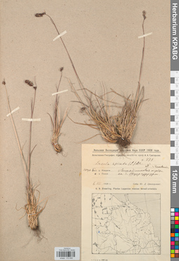 KPABG012692