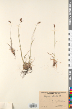 KPABG012703
