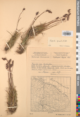 KPABG012715