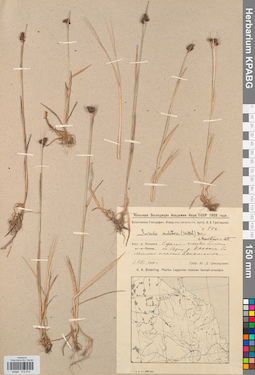 KPABG012814