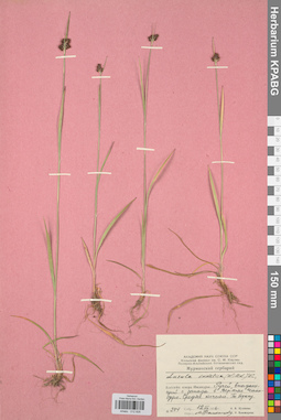KPABG012826