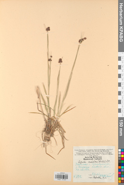 KPABG012827