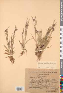 KPABG012829
