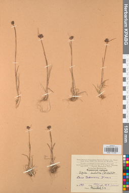 KPABG012838