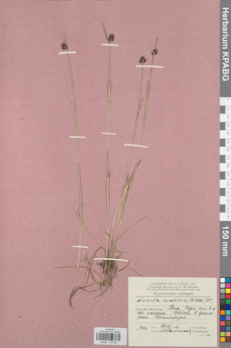 KPABG012840