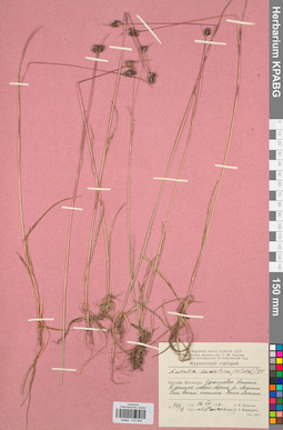 KPABG012849