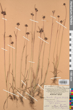 KPABG012850