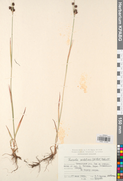 KPABG012851